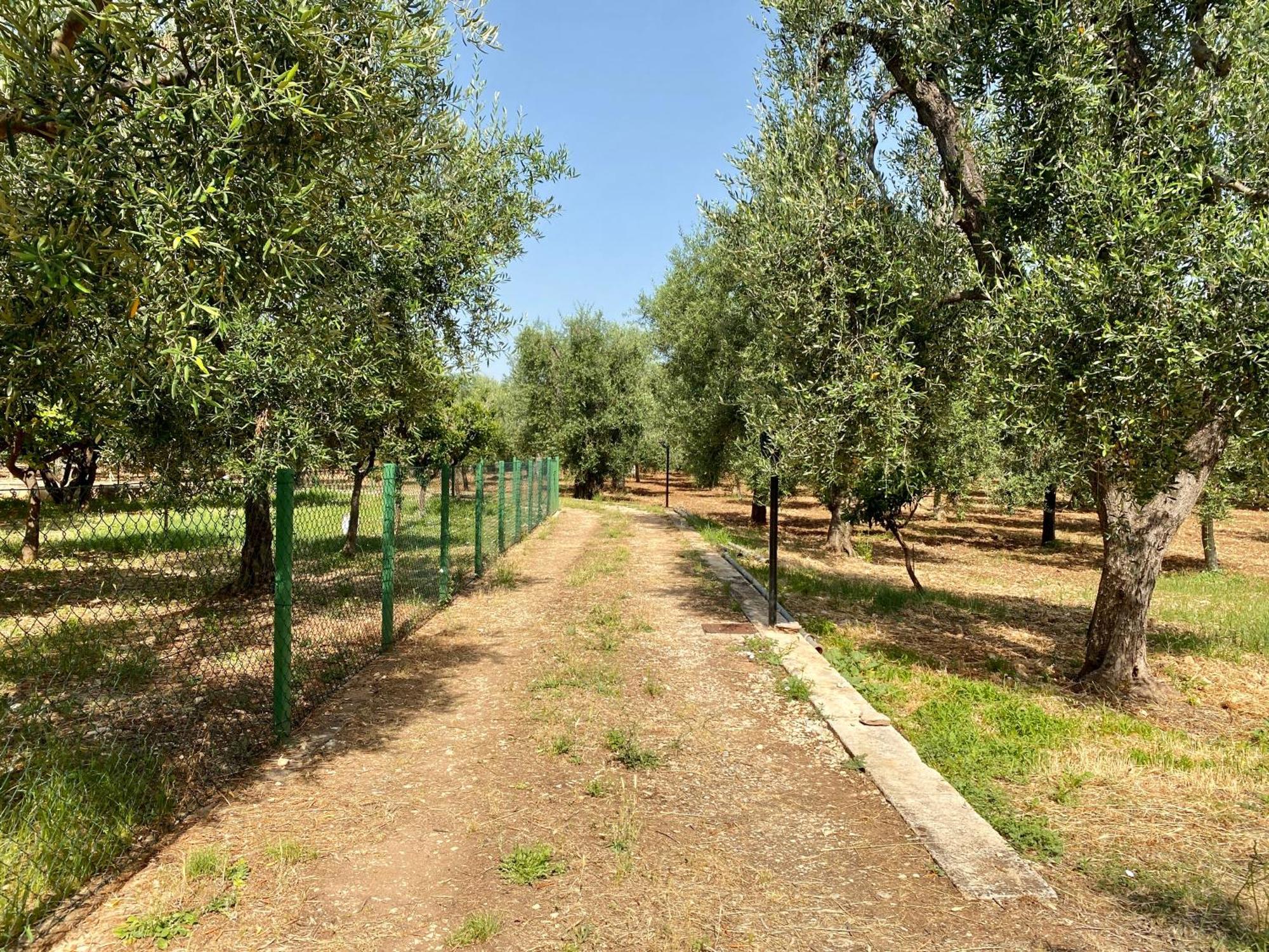 Villetta San Matteo Mattinata Exterior foto